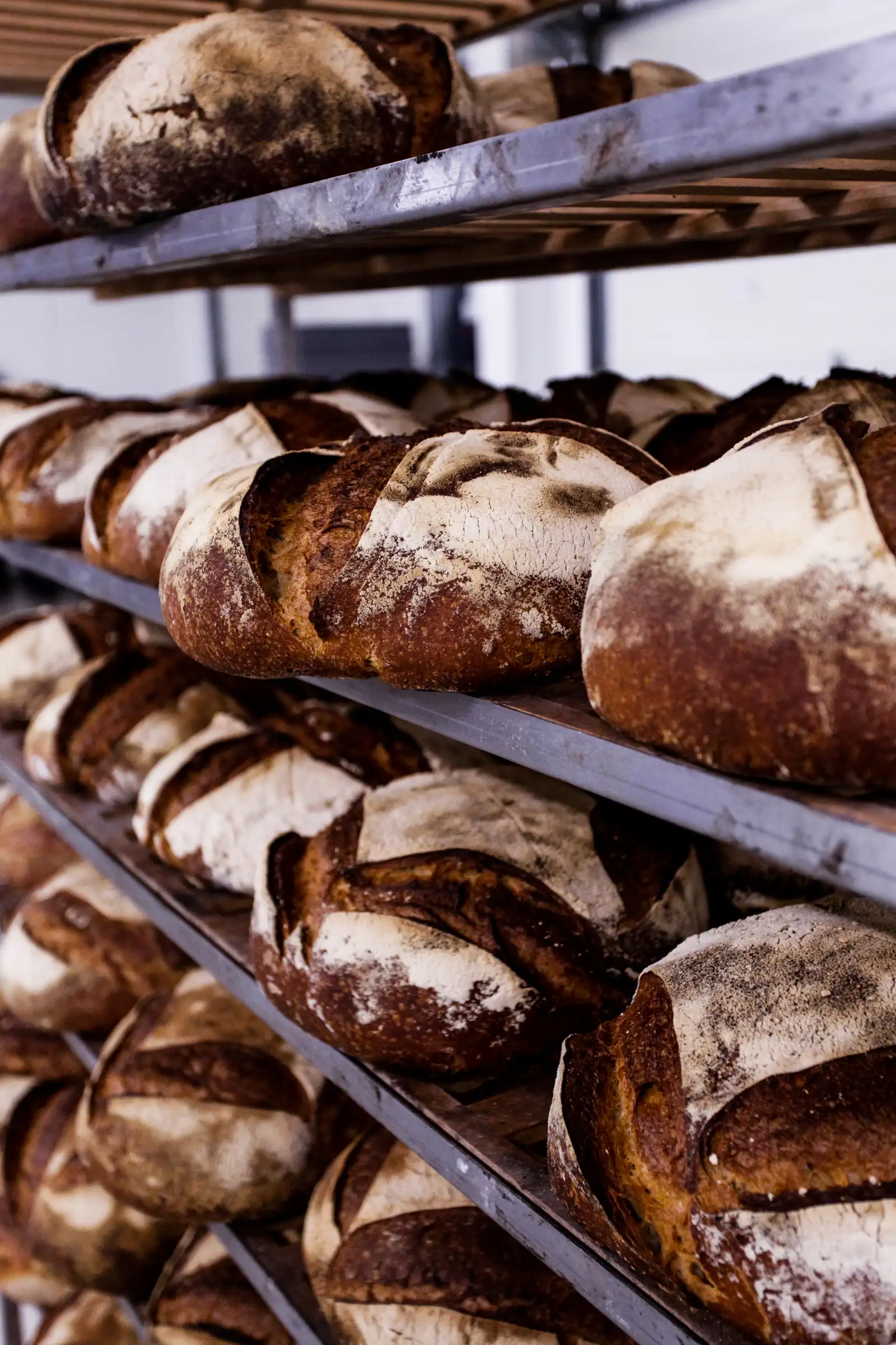 Pains au levain rangés sur les étagères de l'atelier