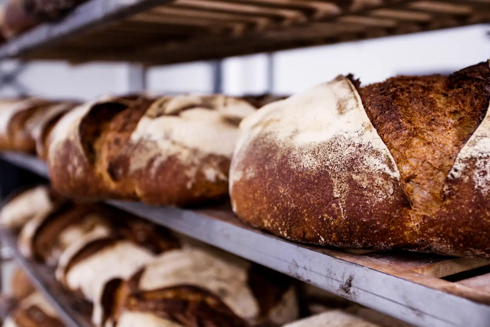 Pains de campagne dorés sur les grilles du fournil